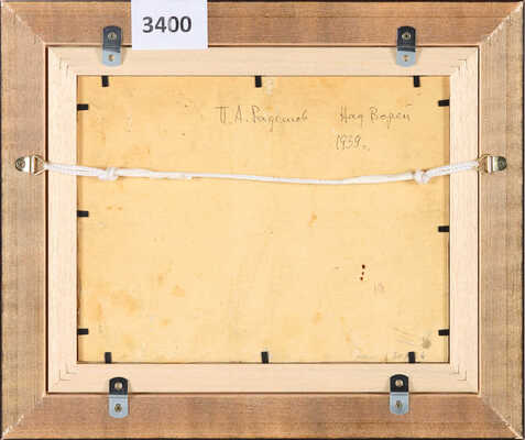 Радимов Павел Александрович. Над Ворей